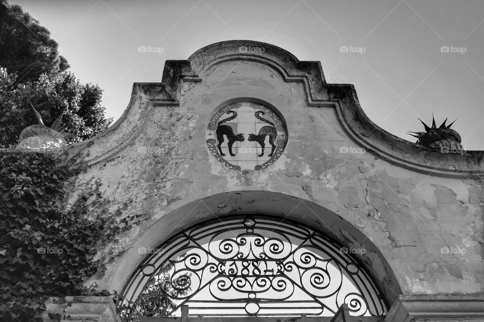 Top of a garden gate