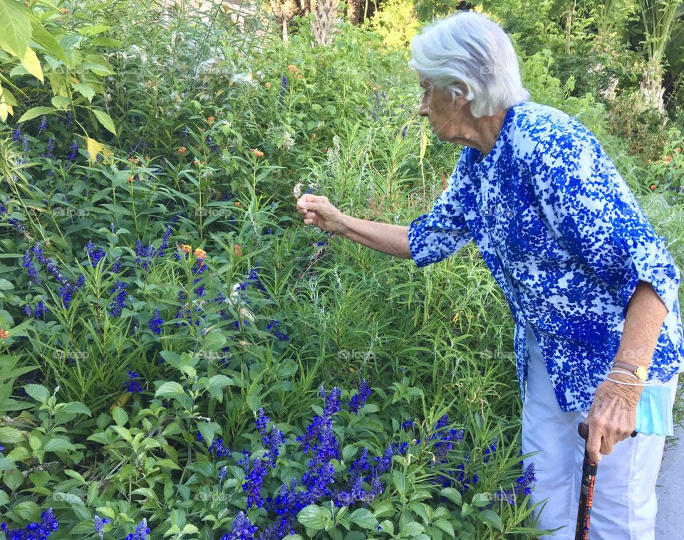 No age for observing flowers