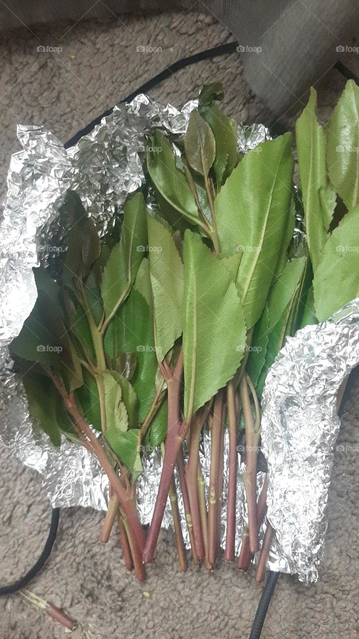 Please make me happy, I am poor, I need your help with support