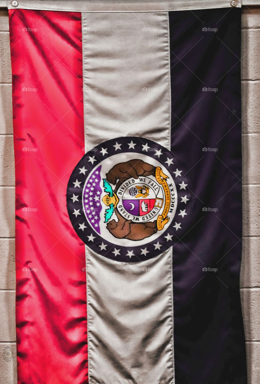 Missouri State flag hanging graciously.