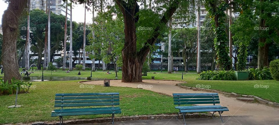 Dois bancos e um dia de Domingo