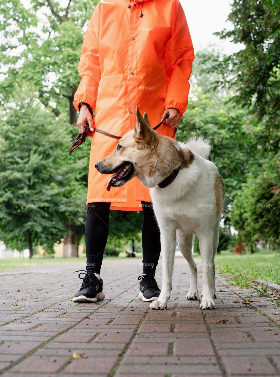 woman walking the dog in rainy day