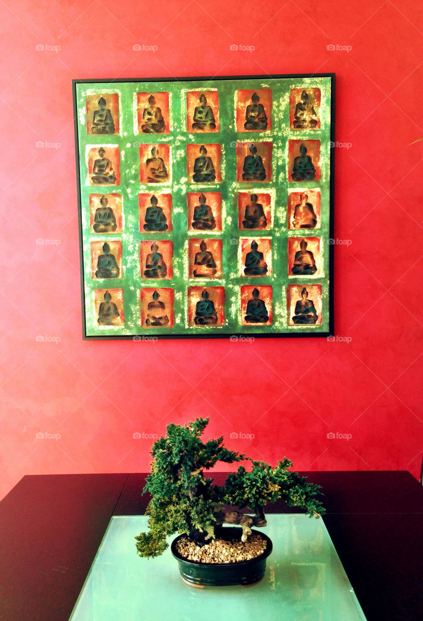 Bonsai tree on table