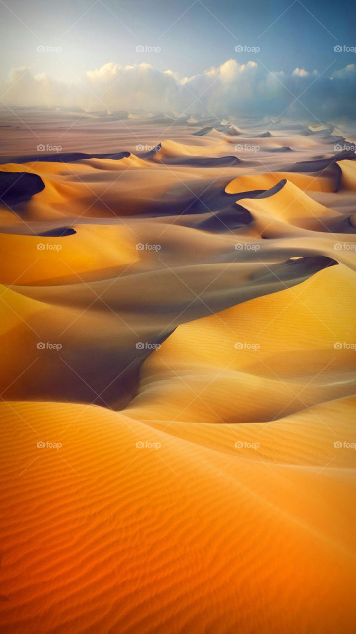the desert magic