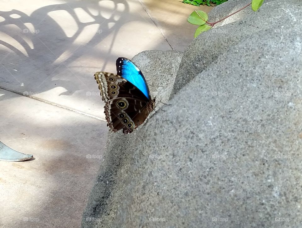 Nature, No Person, Outdoors, Animal, Water