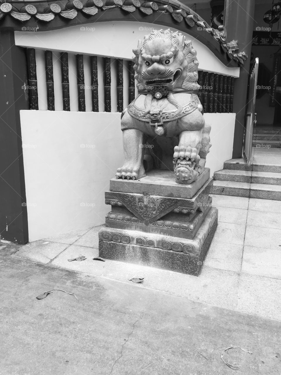 The guardian . The lion statue in front of temple 