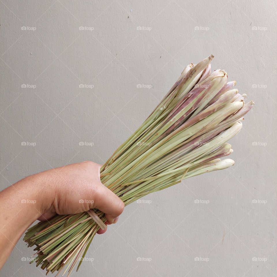 Lemon grass (Cymbopogon citratus) is a plant a member of the tribe herbs which is used as a spice to scent food and make herbal drinks for health