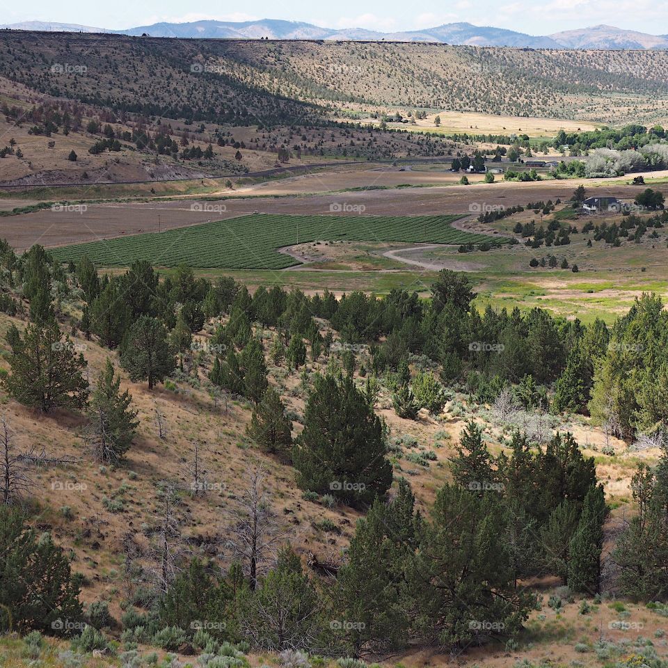 A view down hills into the farming valley and the small rural community of Gateway in Central Oregon on a sunny summer  day. 