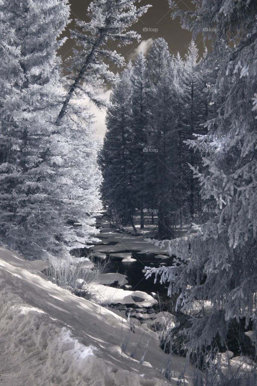 Winter mountain scene