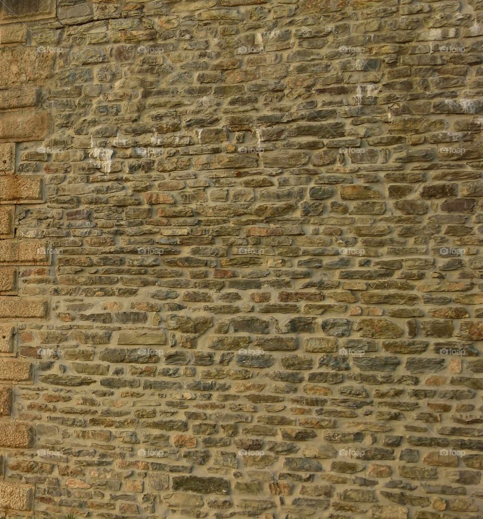 Wall texture