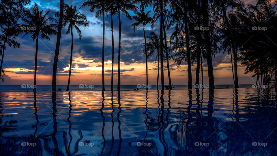 Palm tree reflecting on lake during sunset