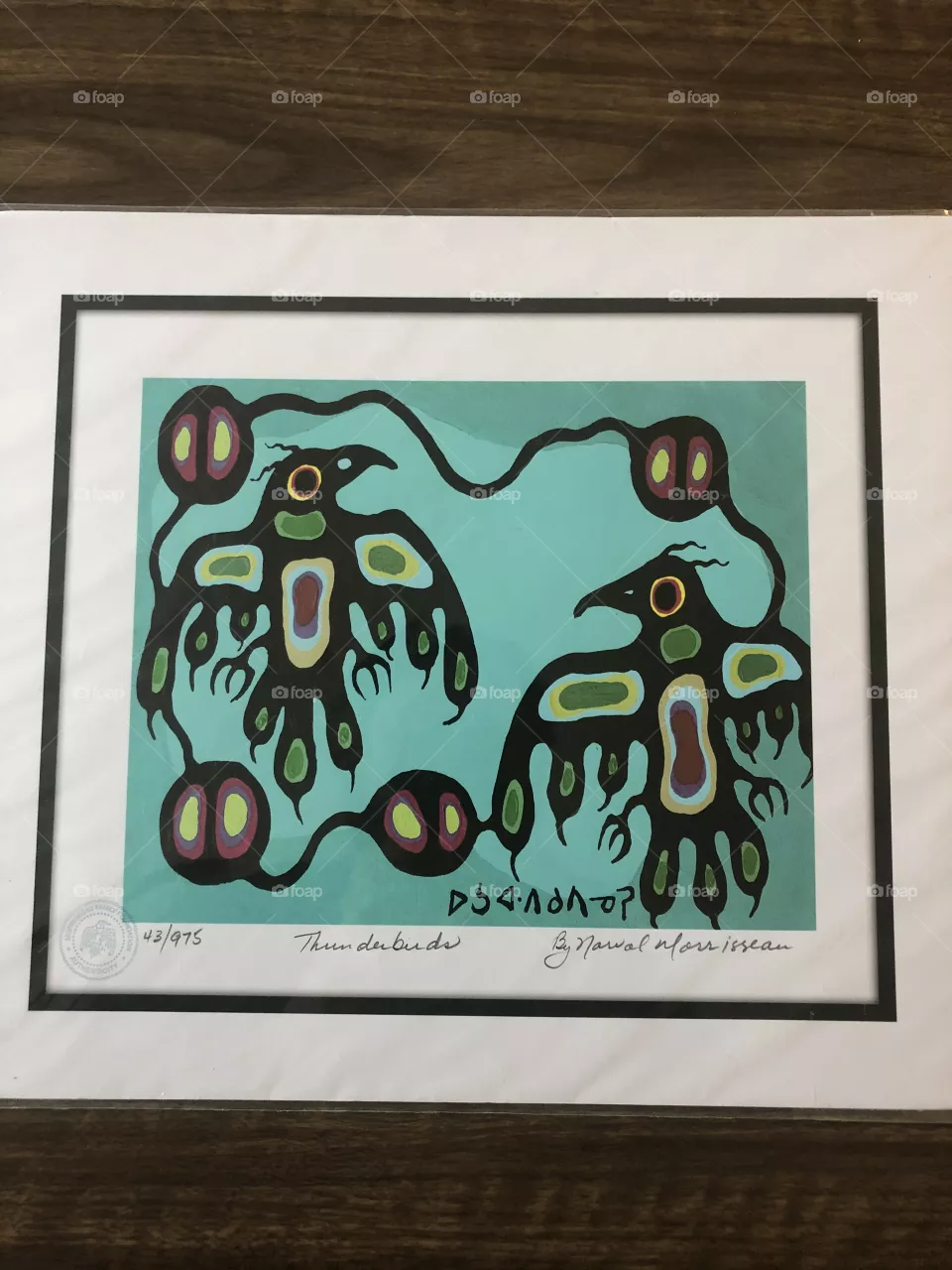 Canadian native art 