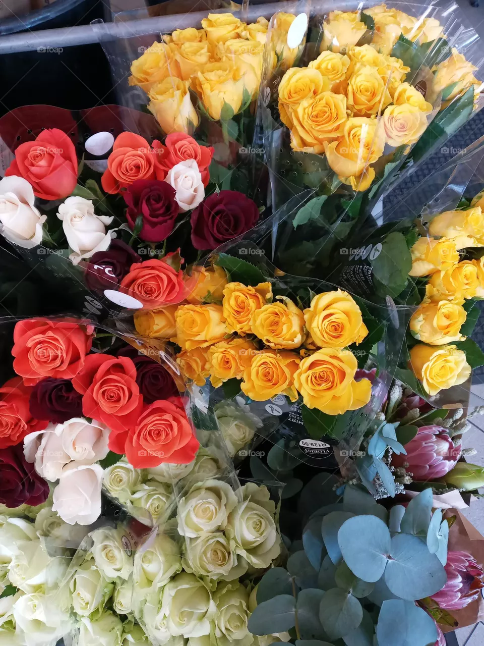 Flowers