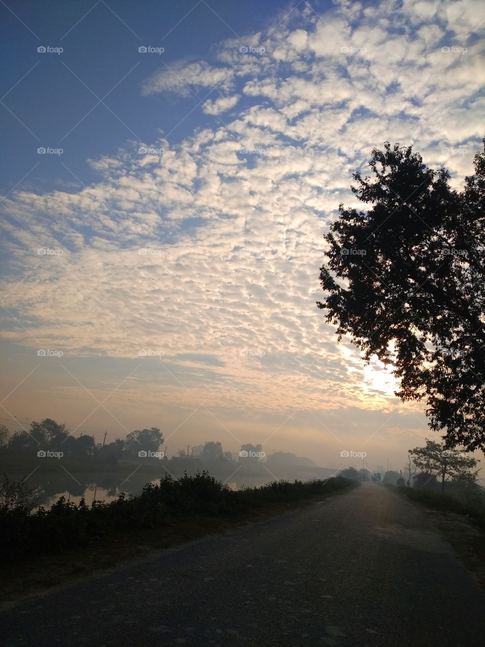 Sunrise in the morning