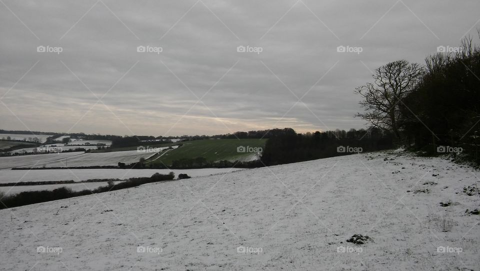 Winter Landscape