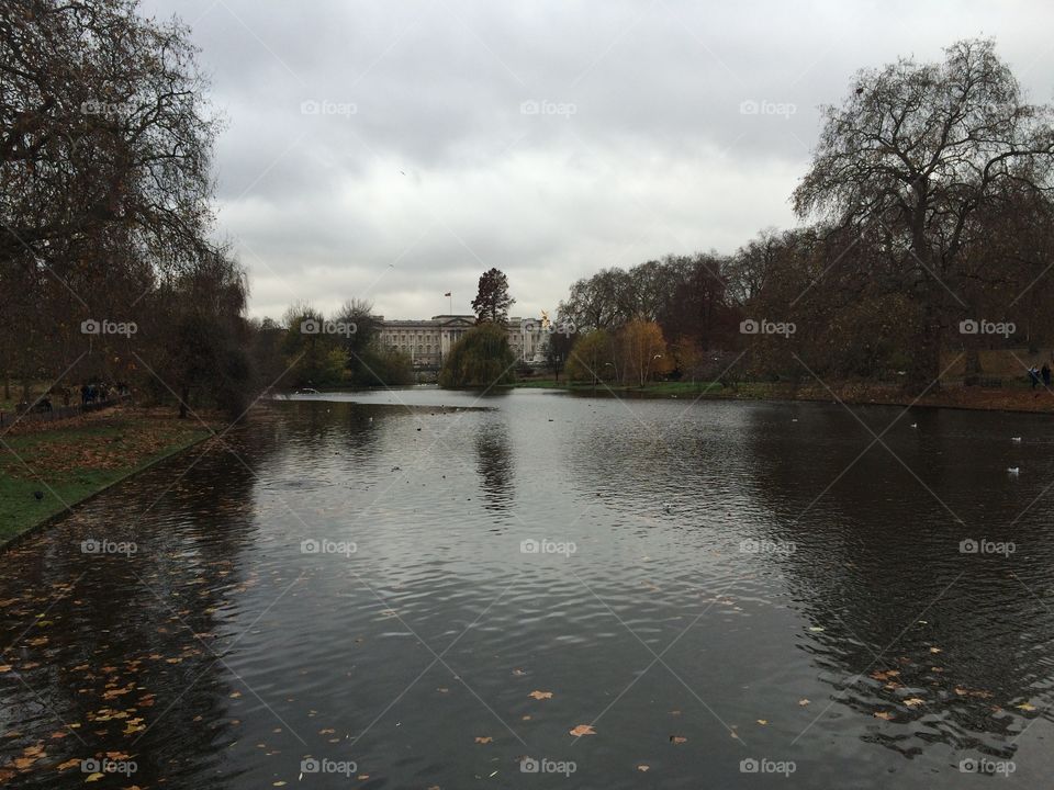 River, Water, Tree, Lake, Reflection