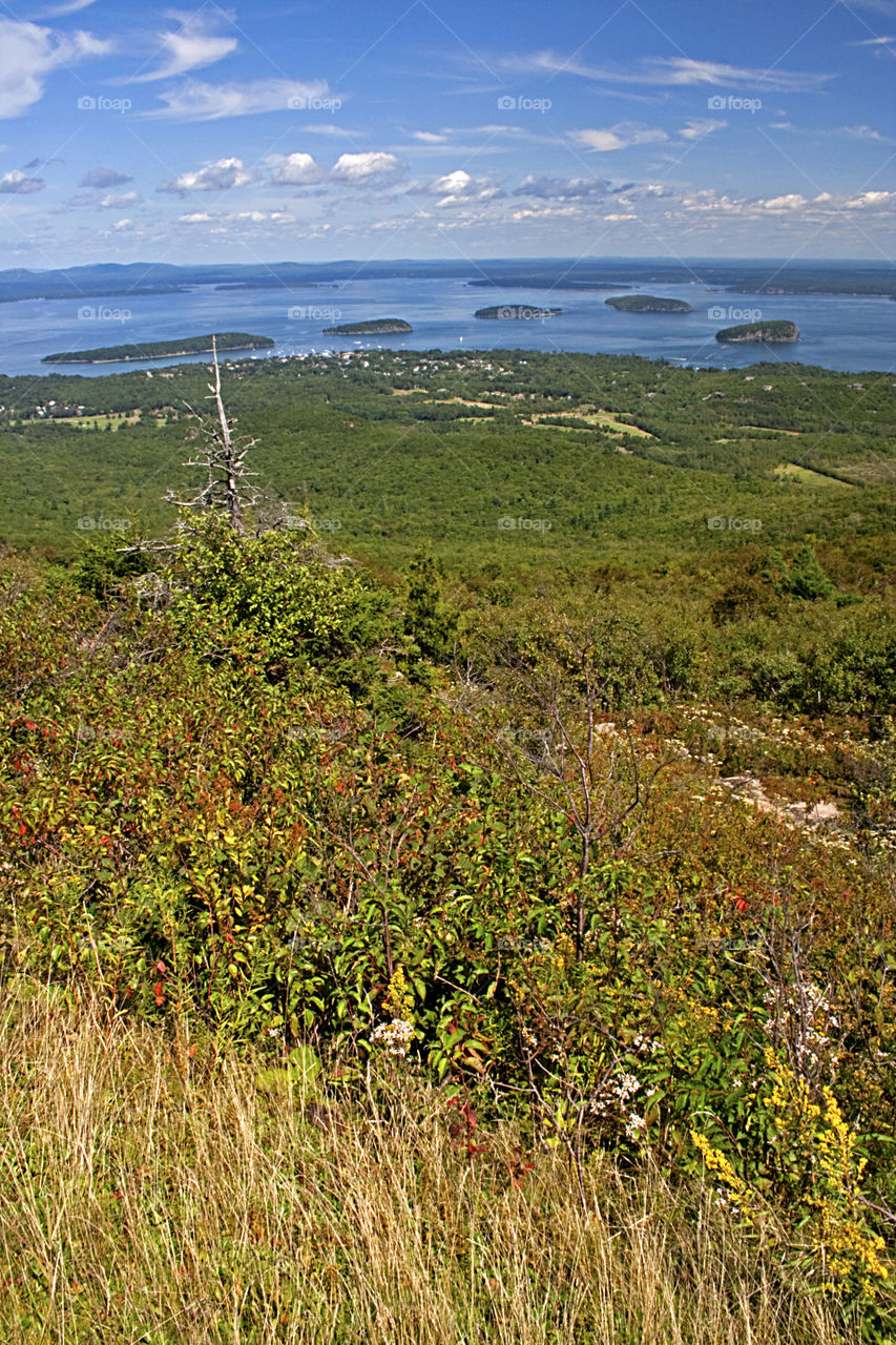 Porcupine Islands seen from Cadillac Mountain in Acadia National Park