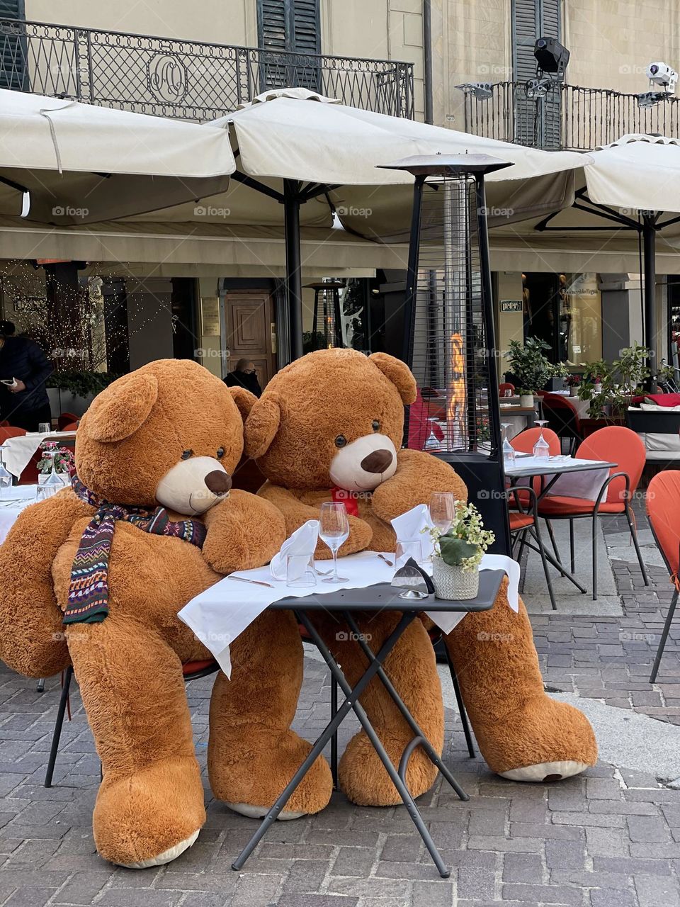 Bears on the street 