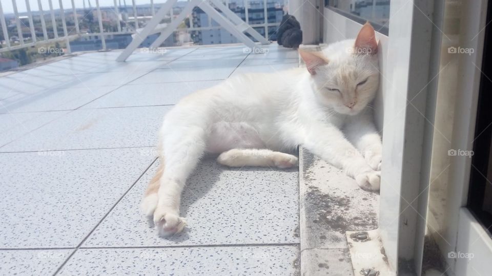 at the balcony getting sunshine