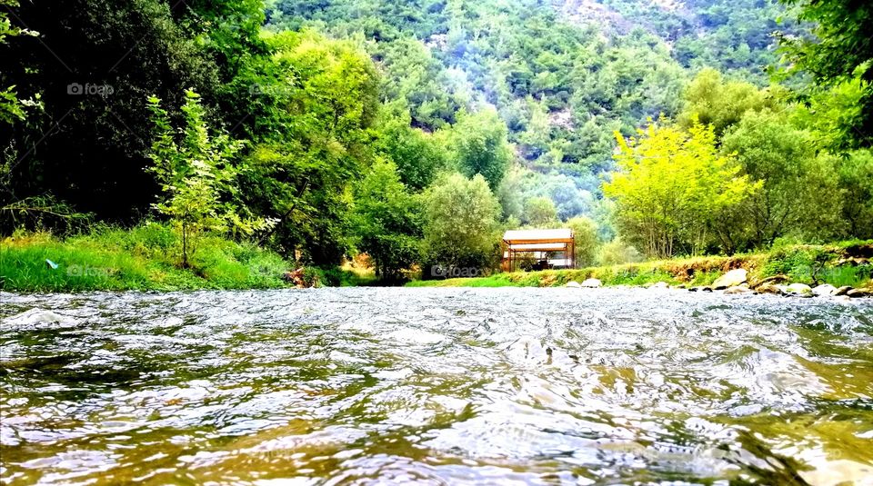 Hello
Please like my pictures and follow me 
Thank you 
River camp tree nature