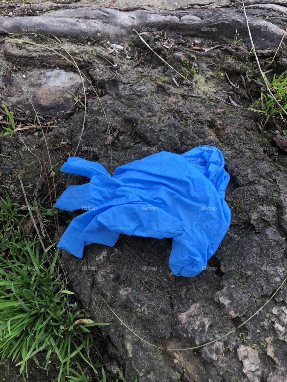 used surgical gloves discarded on the street floor, pandemic, coronavirus, human stupidity,