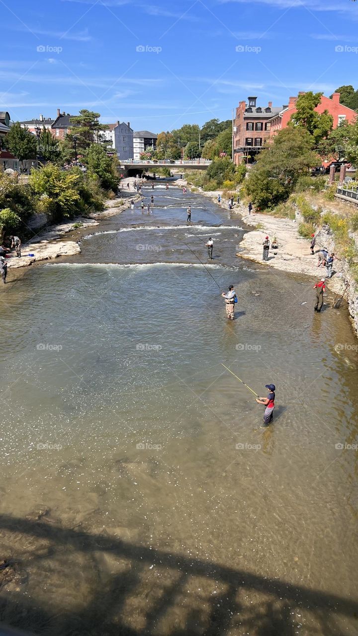 The river hunting in a city