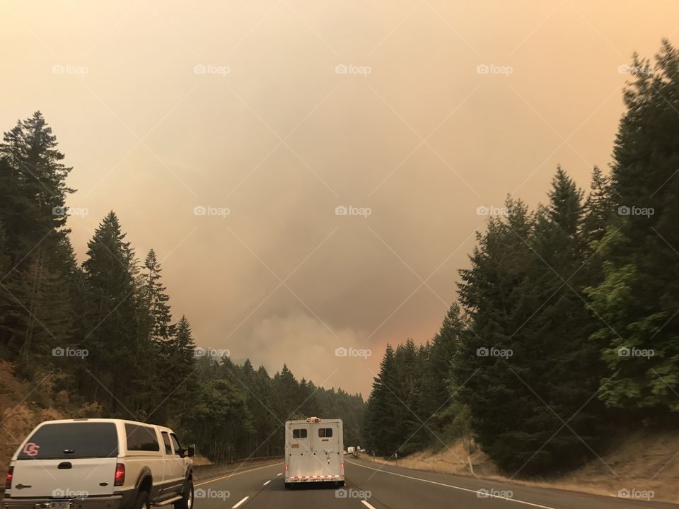 Eagle Creek Fire
Cascade Locks Fire