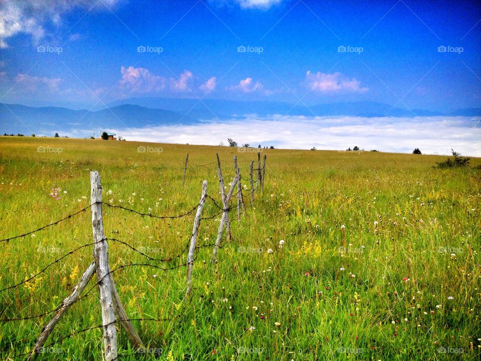 old fence