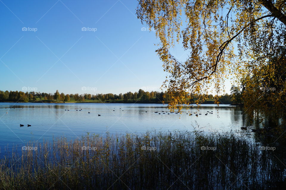 Autumn by Bogstadvannet, Oslo, Norway. 