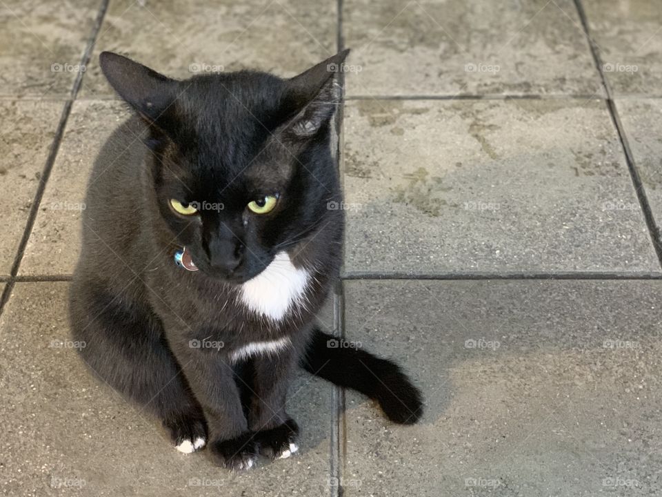 Black cat got bored on street in Bangkok