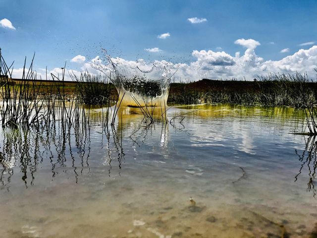 water sky Tranquility lake Reflection Plant beauty in Nature cloud - sky tranquil scene Nature scenics - nature no people day