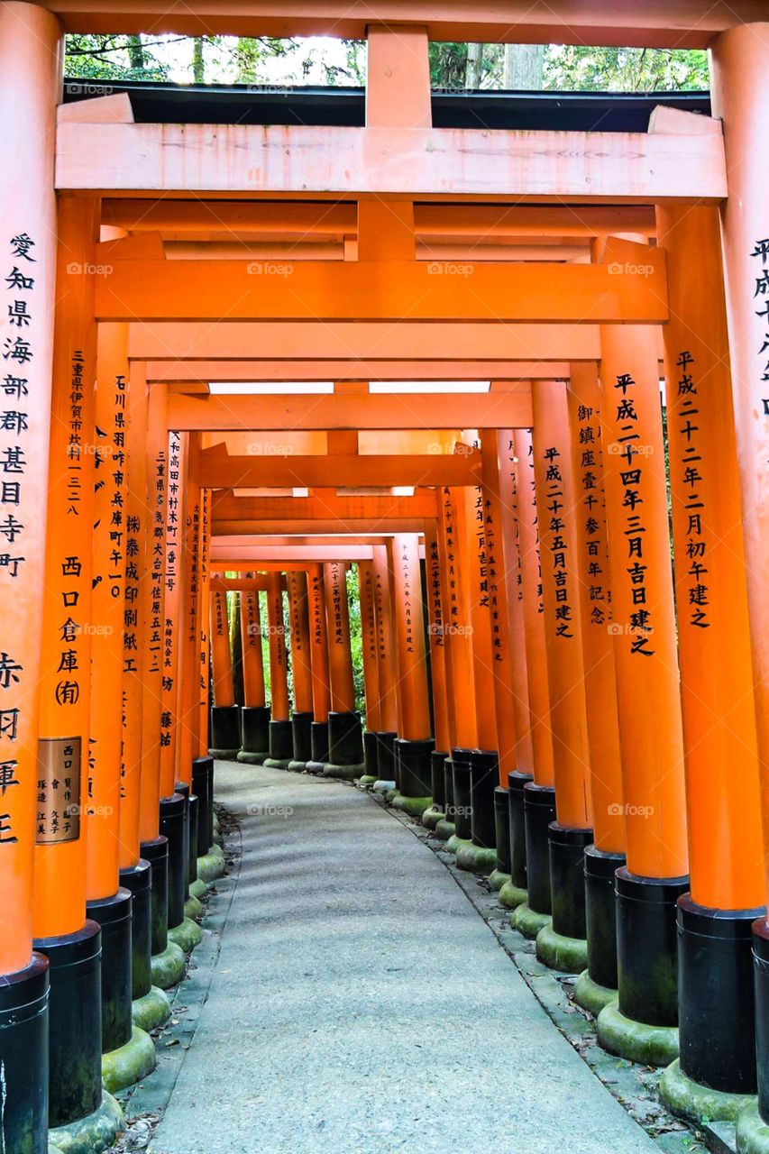 Fushimi Inari Shrine