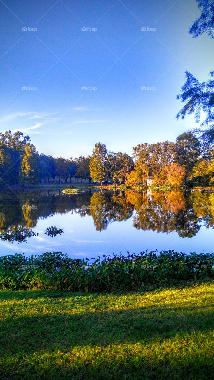 View Across the Lake