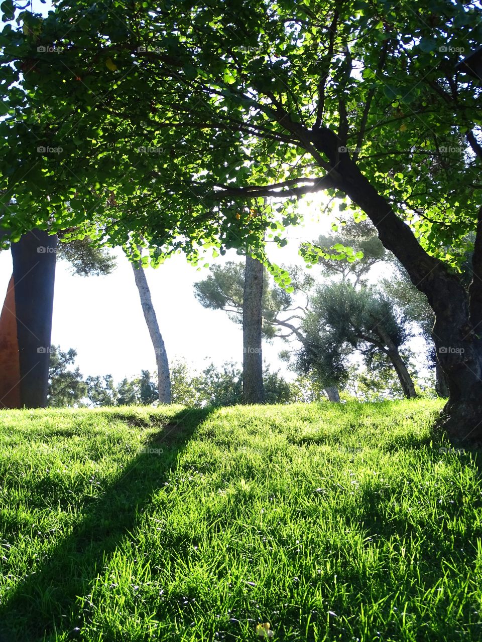 In low light how beautiful it is