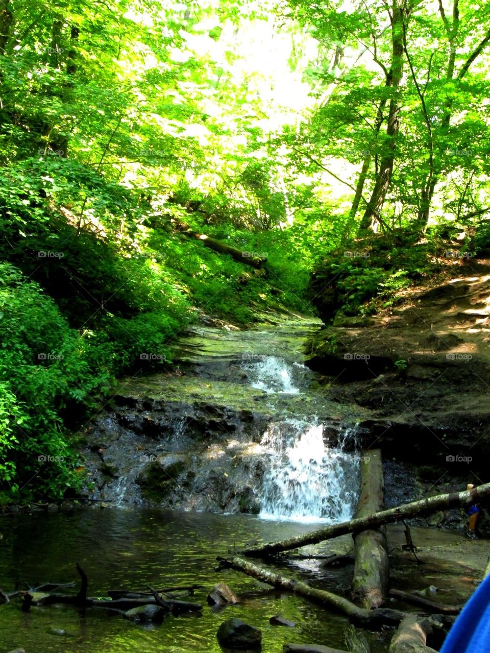 Took a walk and captured the beauty along the way!