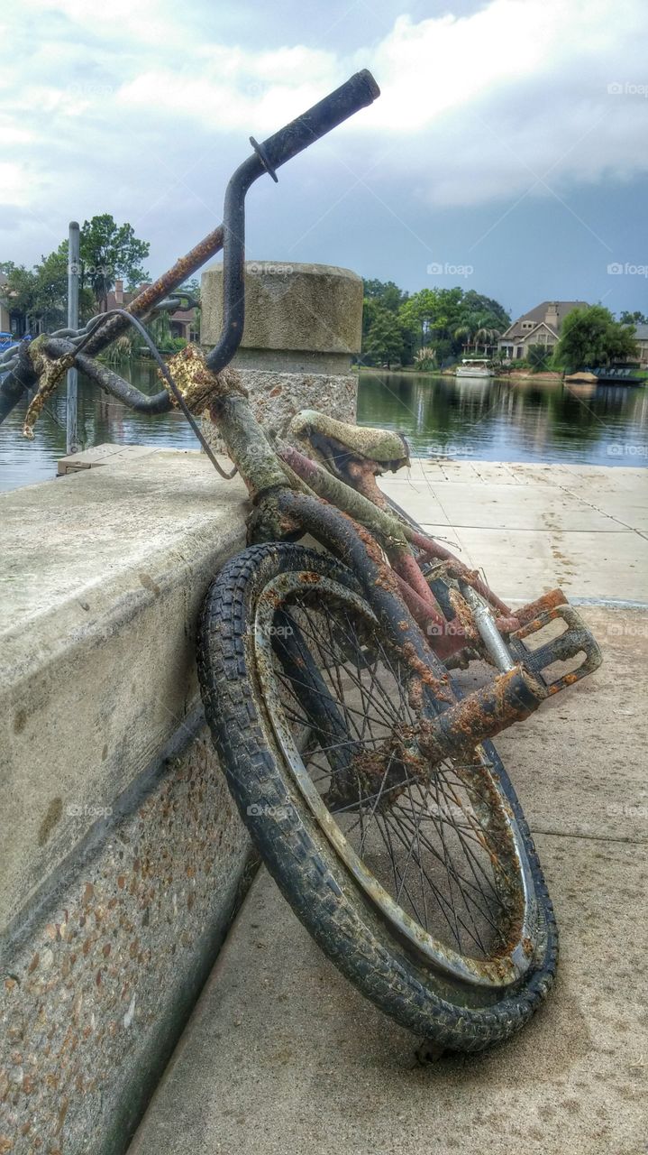 Fishing for bikes. Pulled this out of a lake.