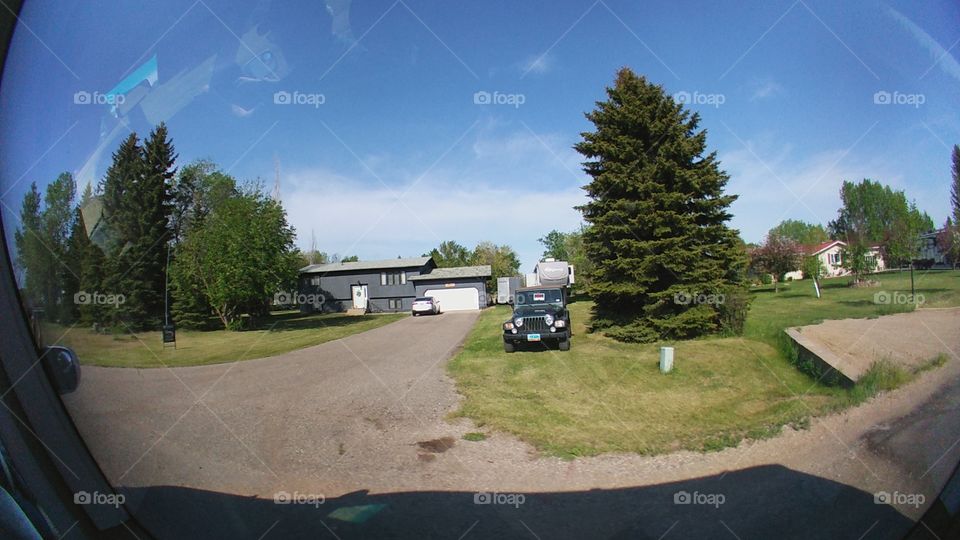 Tree, Road, Landscape, No Person, Park