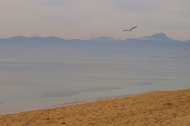 Tranquility 