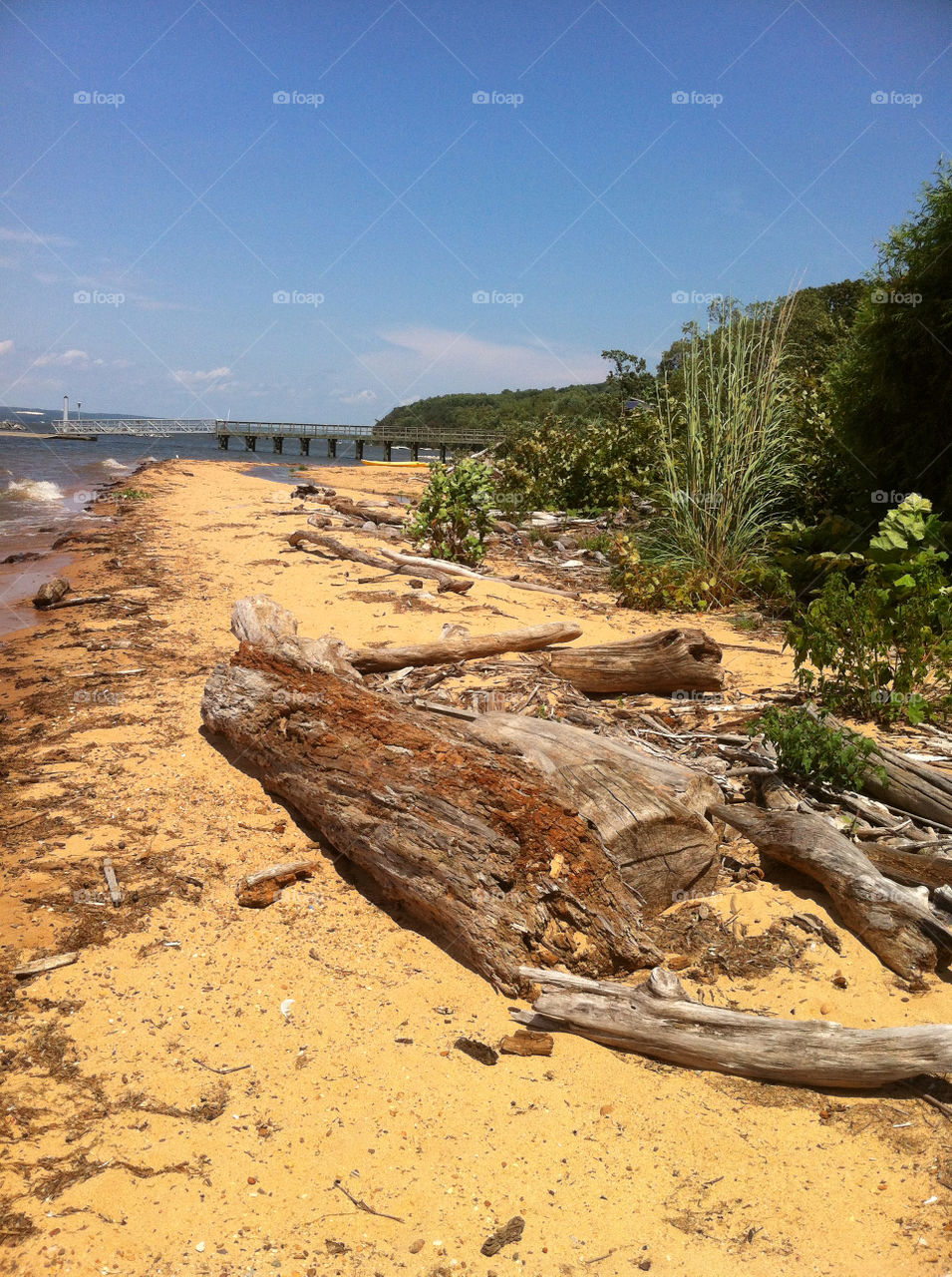 beach sky sand driftwood by photobydanielle
