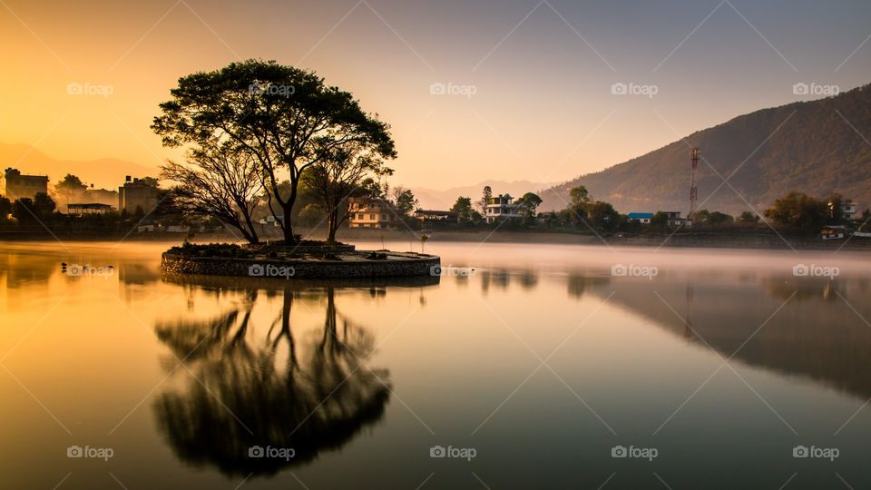 Reflection of tree photo was taken at Taudah Lake, Kathmandu, Nepal