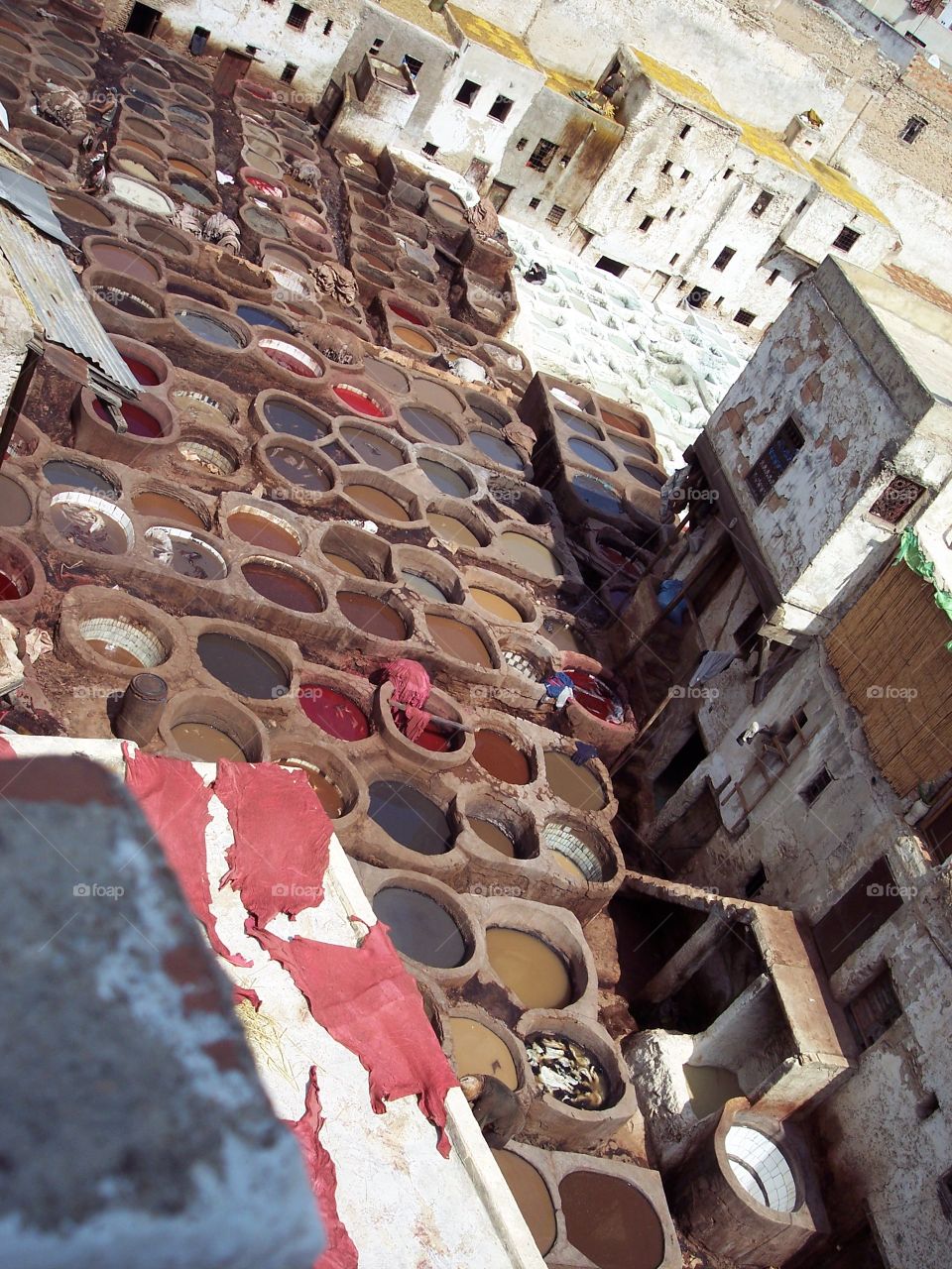  Morocco travel : tannery 