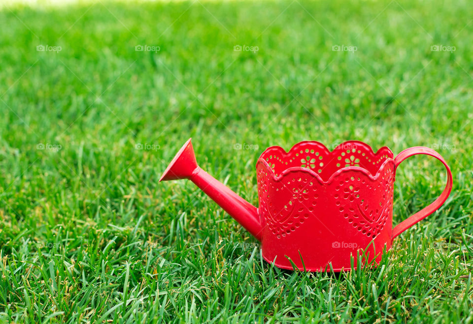 Red watering can on green grass