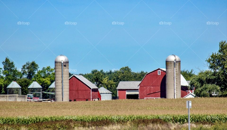 Northern farm in Michigan