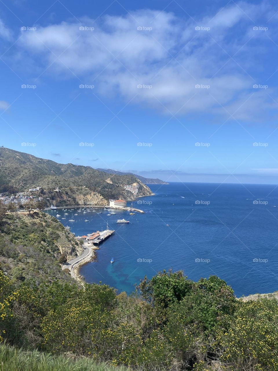 Catalina island 