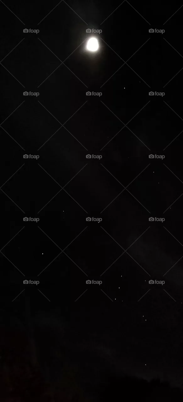 Moon in the night sky.