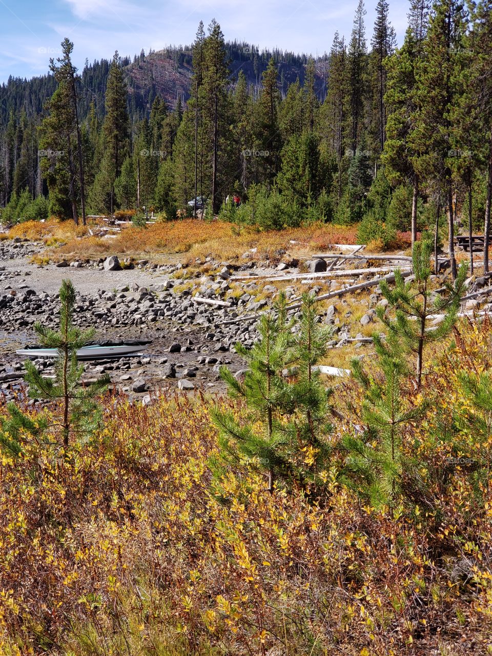 Brilliant fall colors of a landscape on the shores of Elk Lake in Oregon’s Cascade Mountains