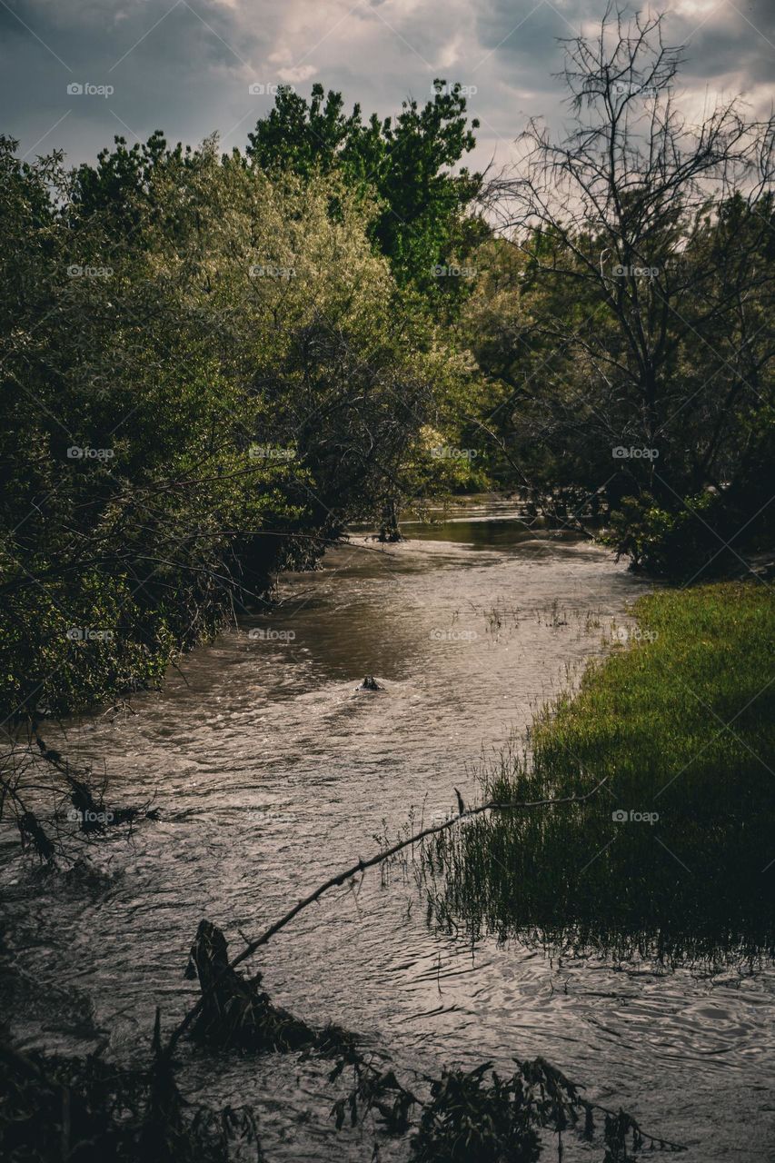 Yellowstone river and grassy areas.