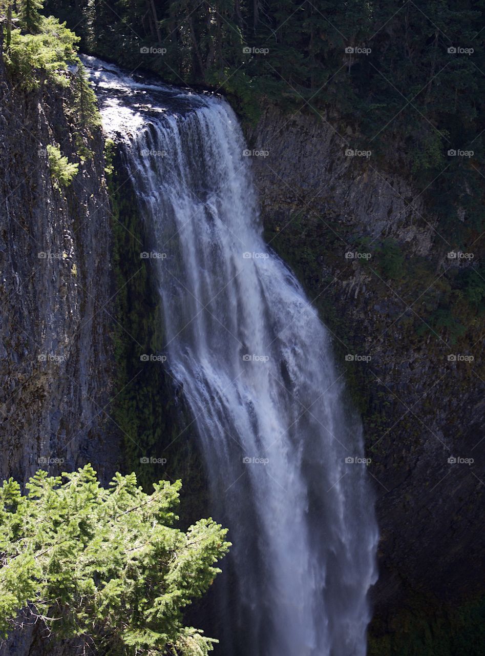 The magnificent Salt Creek Falls tumbling over a cliff in the forests of Oregon on a sunny fall day. 