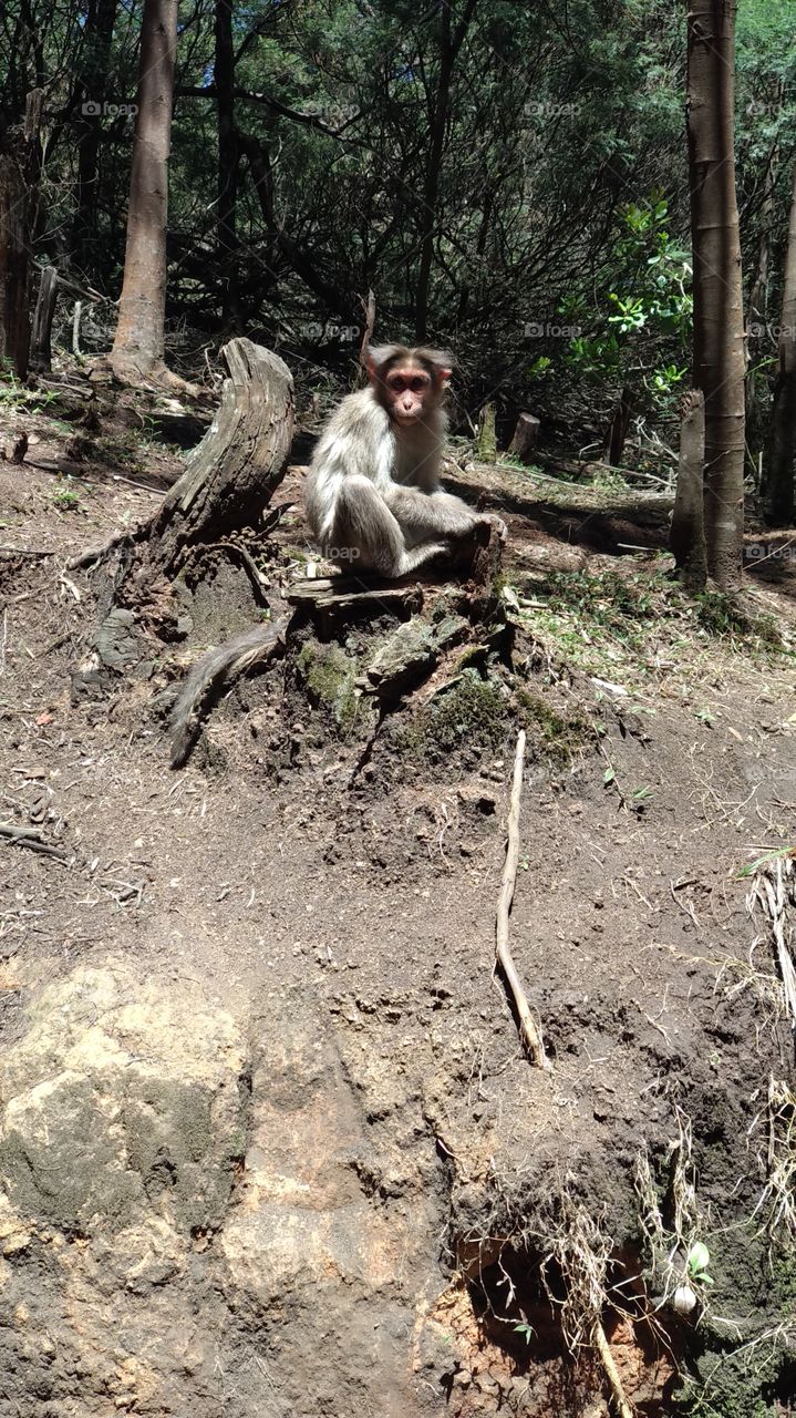 Hey u... Go away....