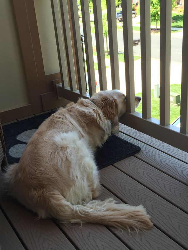 Enjoying the day!